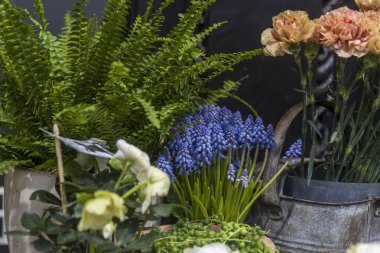 Karanfil ve eğreltiotlarının yanındaki mavi muscari restoranın girişi için bir dekorasyon..