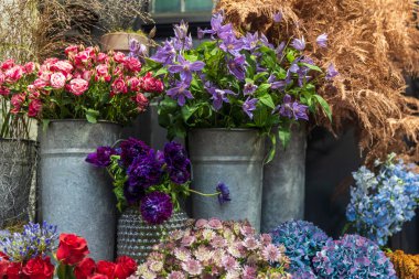 Mor klematis, portakal gülleri, rüzgâr çiçekleri, anemonlar, ortancalar, kuşkonmaz ve vazolarda ve teneke kovalarda satılık, iç dekorasyonun geliştirilmesi için ideal.