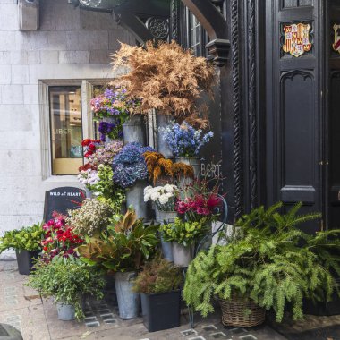 Londra, İngiltere 1 Aralık 2024, Çiçekçi Liberty. Zakkum çiçekleri, papatyalar, güller, eğrelti otları, nergisler, ladin dalları, cehennem çukurları ve vazolarda dizilmiş şakayıklar.,