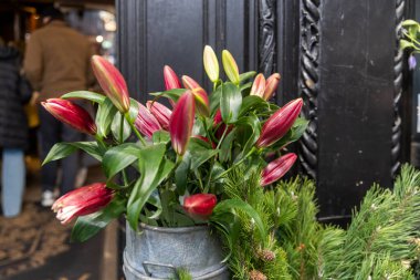 Restoranın girişinde açılmamış kırmızı zambak tomurcukları, dekorasyon..