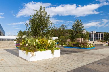 Moskova, Rusya - 23 Ağustos 2024, Dinamo metro istasyonu yakınlarındaki kentsel peyzaj. Ortancalar, Hawthorn, Lythrum virgatum Rosy Gem, kırmızı yıldız çiçekleri ve çiçek tarlalarında dikenli diken..