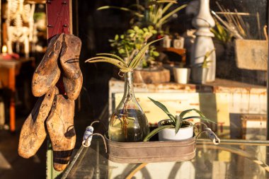 Ahşap ayakkabı, bir mağaza girişinin süsü olarak direkte asılı durur. Masadaki cam şişedeki Aloe. Güneş batıyor. Vintage pazar.