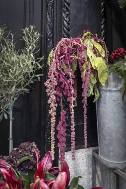 Amaranthus, çiçekçinin girişinde uzun bir vazo, kırmızı zambaklar ve zeytinlerin içinde karnabaharı doyurur..