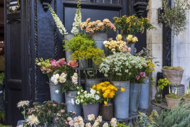 Astrantia buketleri, sarı ranunculus, pembe anemonlar, güller, matthiola ve Apiaceae vazolar satılık bir çiçekçinin girişinde, iç dekorasyon için..