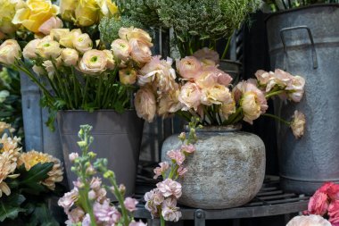 Bir buket beyaz ve pembe ranunculus seramik ya da taş vazoda, iç dekorasyon için stok ve güllerle çevrili ve çeşitli vesilelerle.