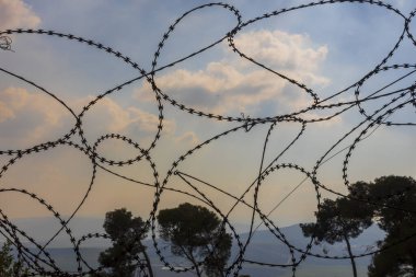 Hayvanları uzak tutmak için dikenli tellerden yapılmış çitler. Ağaçların ve gökyüzünün zeminine kurulmuş..