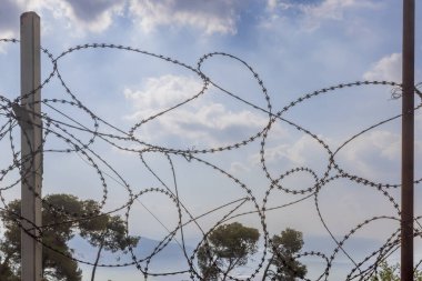 Dikenli teller, arka planda ağaçlar ve gökyüzü olan hayvanların bölgeye girmesini engellemek için..