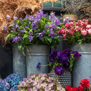 Mor klematis, portakal gülleri, rüzgâr çiçekleri, anemonlar, ortancalar, kuşkonmaz, vazolar ve teneke kovalarda satılık vazolar, iç dekorasyon için kullanılır..