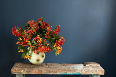 Viburnum opulus buketi beyaz seramik bir vazoda eski ahşap bir bankta koyu mavi bir duvara karşı. Metin için boşluk