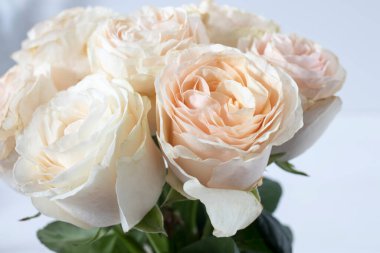 Düğün ya da gelin buketi, dekorasyon ve dekorasyon için yakın plan beyaz güller..