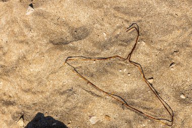 Paslı, terk edilmiş bir askı kumun üzerinde duruyor. Çevre koruma, çöp, yalnızlık, gölge.