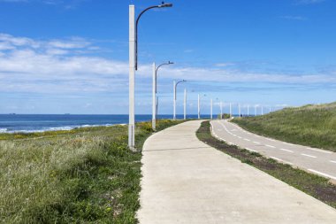 İsrail 'de Akdeniz boyunca Glebionis Coronaria, Limonyum ve Afrika tamarisk çalılarının çiçek açtığı yayalar ve bisiklet yolları bulundu..