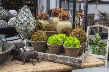 Tencerelerdeki yapay sulular, dekoratif çam kozalakları, metal çekirge heykeli, ve bir bahçe merkezindeki ahşap masa üzerindeki sulama kutuları.