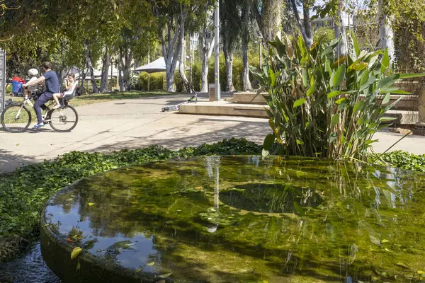Tel Aviv, İsrail, 12 Eylül 2024, bisikletli bir adam ve çocuk. Florentin bölgesinin yakınlarındaki bir halk bahçesinde küçük bir çeşme, algler ve yeşilliklerle kaplanmış.. 
