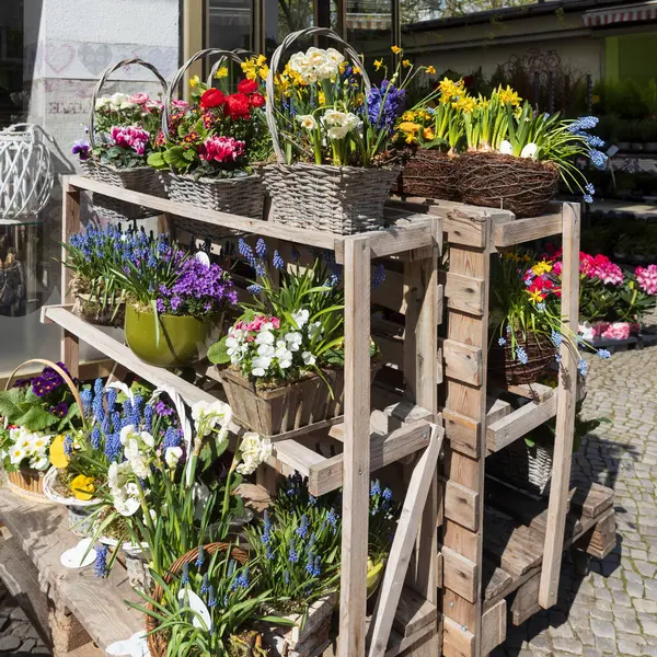 Çiçekçi vitrininde renkli bahar çiçekleriyle ahşap bir standın üzerinde sepetler - muscari, ranunculus, sepetteki nergisler, kafenin girişini süsleyin.