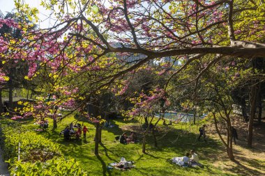 İstanbul, Türkiye, 2 Mayıs 2024, İstanbul 'da Bebek, İstanbul' da güneşli bir günün tadını çıkaran insanlar, çiçek açan ağaçlar ve arka planda bir yüzme havuzu bulunuyor..