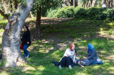 İstanbul, Türkiye, 2 Mayıs 2024, İnsanlar güneşli bir günde Emirgan Parkı 'nda bir ağacın altında dinleniyor.