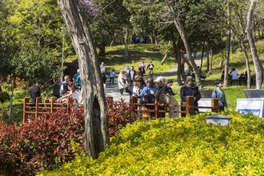 İstanbul, Türkiye, 2 Mayıs 2024, İstanbul 'daki Emirgan Parkı' nda güneşli bir günün tadını çıkaran bir kalabalık. Önlerinde renkli çiçekler var. Kadınlar cep telefonuyla fotoğraf çekiyor.