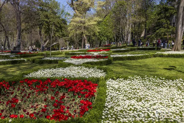 İstanbul Türkiye 2 Mayıs 2024: Glhane Parkı 'nda titizlikle düzenlenmiş lale yatakları