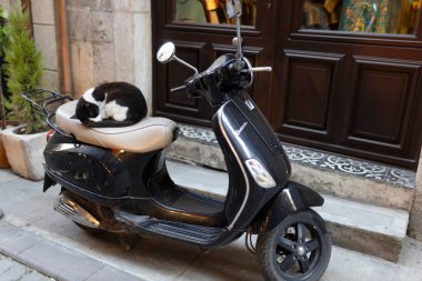 İstanbul, Türkiye, 2 Mayıs 2024 'te siyah beyaz bir kedi park halindeki siyah Vespa scooter' ın bej koltuğunda uyuyakaldı. 
