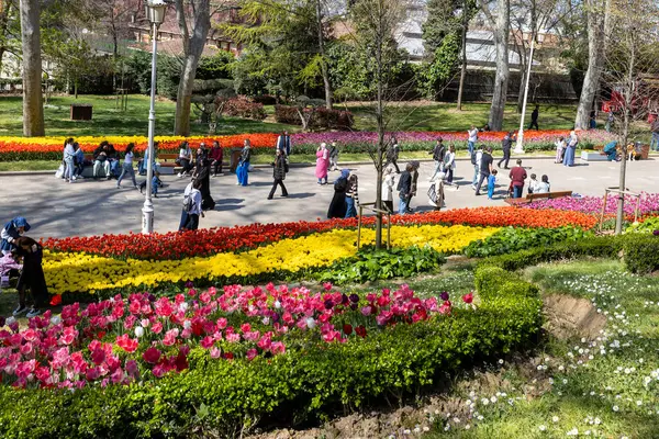 İstanbul, Türkiye, 2 Mayıs 2024, Gulhane parkında canlı bir lale festivali. Parlak bir gökyüzü altında renkli çiçeklikler arasında çok sayıda ziyaretçi dolaşıyor..