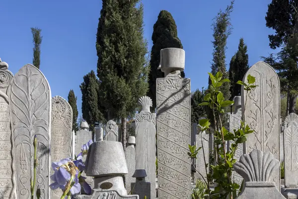 İstanbul, Türkiye, 2 Mayıs 2024, Karmaşık bir şekilde oyulmuş Osmanlı döneminden kalma mezar taşları, bazı Arapça yazılar ve çeşitli mezar taşları, Fatih ilçesinde açık mavi bir gökyüzünün altında yer almaktadır.