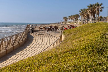 Hayfa, İsrail, 16 Nisan 2025, Palm Trees ve Cafe Seating ile Sahile Gezinti 