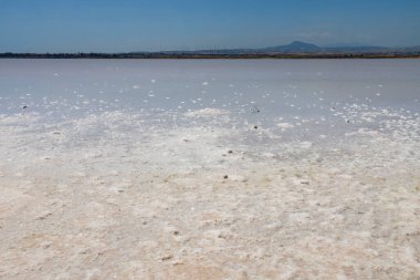 Geniş Larnaca Tuz Gölü Kıbrıs Rum Kesimi 'nin Larnaka kentinde gün ışığında parlıyor