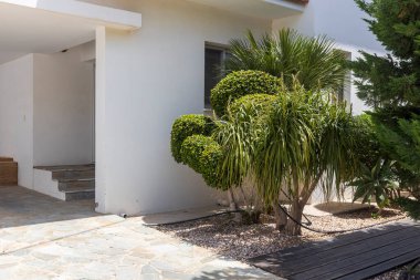 Çeşitli yeşil bitkiler ve taş gübre içeren iyi korunmuş bir bahçe beyaz bir binanın girişini süslüyor..