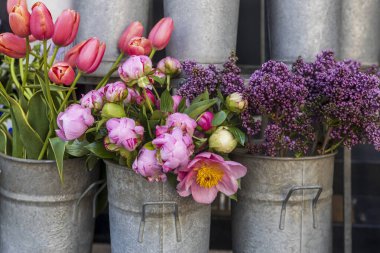 Pembe laleler, açık pembe şakayıklar ve mor leylaklar bir çiçekçinin kırsal metal kovalarında sergilenir.