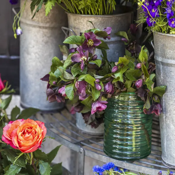 Hellebore çiçeklerinden canlı bir seçim bir çiçekçide yeşil bir cam vazoda sergilenir.