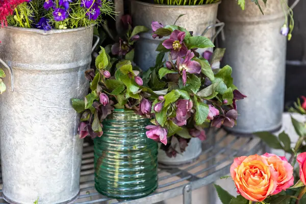 Londra Çiçekçisinde Sarı Solidago Çiçeklerinin Canlı Gösterimi