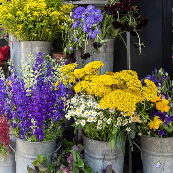 Londra Çiçekçilik Dükkanında Yaz Çiçeklerinin Canlı Koleksiyonu