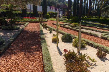 Hayfa, İsrail 24 Mayıs 2025. Bahai Bahçeleri Bir Çakıl Yolu ve Cacti Resmi Bahçede.