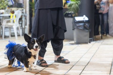 Kara Bacak Pantolon ve Sandalet Giyen Kiremit Döşemede Duran Kişi