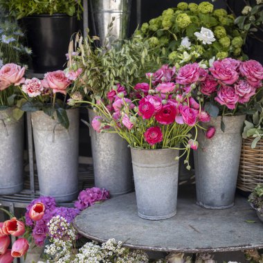 Pembe güller, ranunculus ve metal kovalardaki diğer çiçekler..