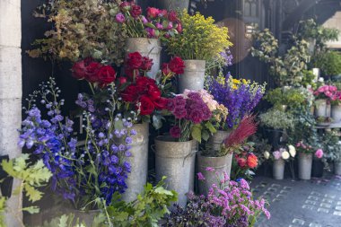 Bir dükkanın dışındaki metal kovalarda çeşitli renkli çiçekler sergileniyor..