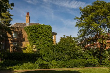 Londra, İngiltere, 7 Mayıs 2025, Bermondsey. Ivy ile kaplı Tarihi Tuğla Evi