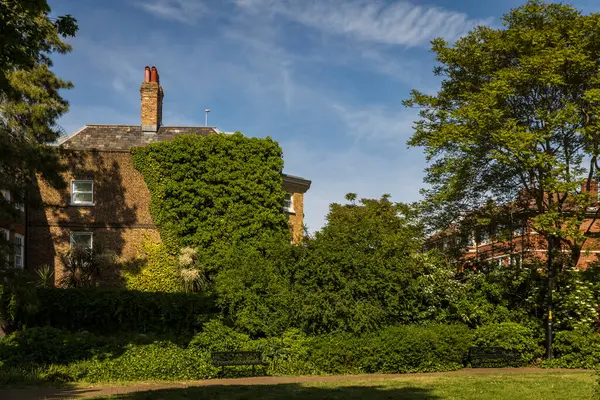 Londra, İngiltere, 7 Mayıs 2025, Bermondsey. Ivy ile kaplı Tarihi Tuğla Evi