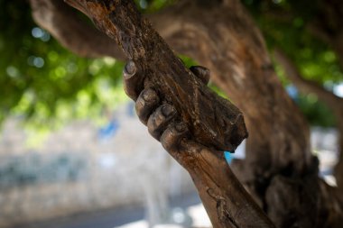 Ein Hod, İsrail, 12 Nisan 2025 ünlü sanatçı koloni Ein Hod, Mount Carmel 'in yamaçlarına karşı kurulmuştur. Ağaç Dalını Tutan El Şeklinde Heykel.