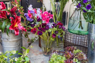 Satılık rengarenk çiçek çeşitleri