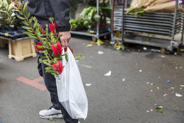 Man holds bag with bottlebrush flowers.