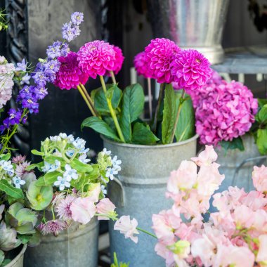 Bir çiçekçi dükkanında vazolar ve kovalar içindeki bir ortanca çiçeği gibi renkli bir görüntü.