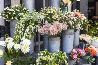 Bir dükkanın dışındaki metal kovalarda sergilenen güzel çiçekler..