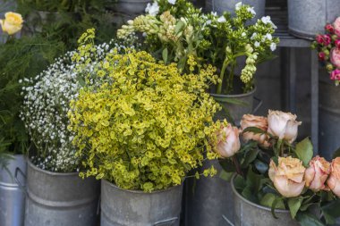 Çeşitli saksı bitkilerinin sergilendiği ve galvanize kovalarda çiçek kesilen bir açık hava çiçekçisi..