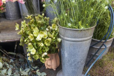 Çiçekçinin önünde sergilenen taze çiçek ve yapraklardan oluşan bir koleksiyon..