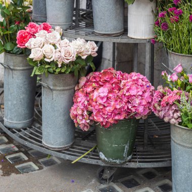 Galvanize Kovalarda Güzel Güller ve Ortancalar.