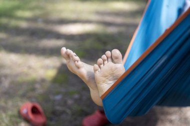 Çam koruluğundaki bir hamaktan çıplak bir topuk süzülüyor..