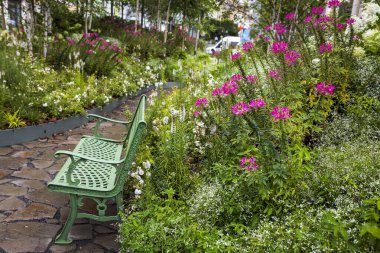 Yeşil Park Benç Canlı Yaz Çiçeklerinin Ortasında