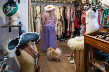 Brighton, İngiltere, 20 Mayıs 2025, Pomeranian köpekli bir kadın bir klasik mağazasının kovboy kıyafeti bölümünde kıyafet deniyor.